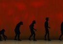 Evolução Humana