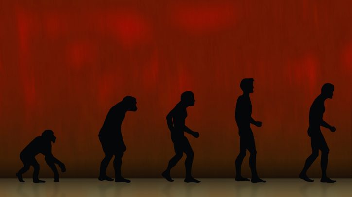Evolução Humana