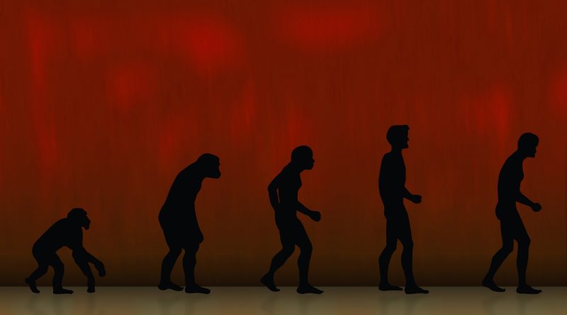 Evolução Humana
