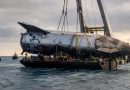 SpaceX consegue rebocar Starship após semanas no mar; destino da nave ainda é incerto